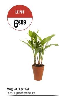 Muguet 3 Griffes offre à 6,99€ sur Géant Casino