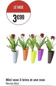 Mini Vase 3 Brins Et Une Rose offre à 3,99€ sur Géant Casino