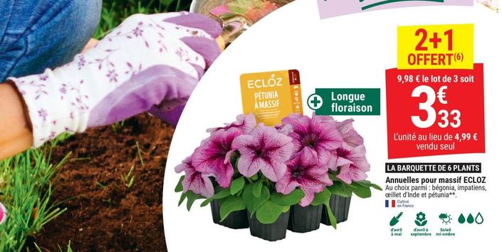 Plantes à fleurs offre à 9,99€ sur Gamm vert