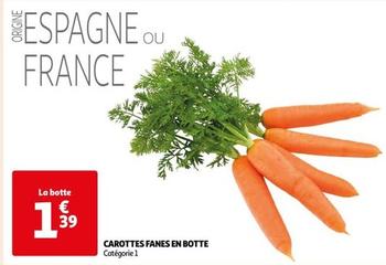 Carottes Fanes En Botte offre à 1,39€ sur Auchan Hypermarché