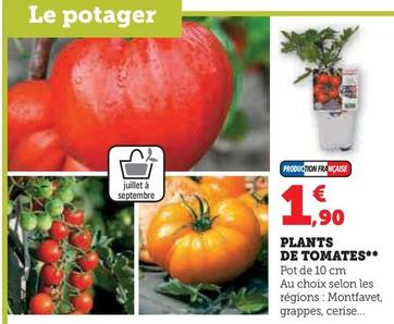 Plants De Tomates  offre à 1,9€ sur Super U