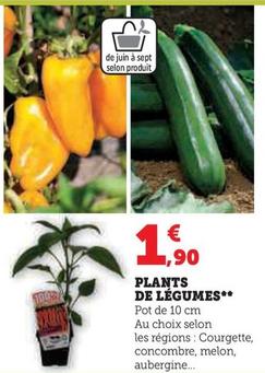 Plants De Légumes offre à 1,9€ sur Super U