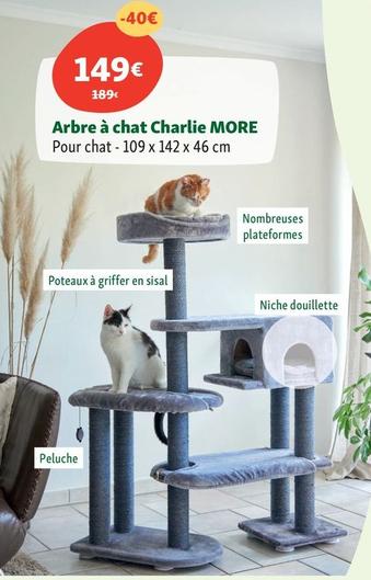 More - Arbre À Chat Charlie  offre à 149€ sur Maxi Zoo