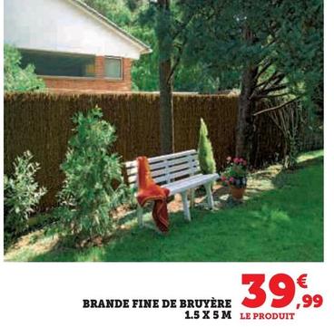 Brande Fine De Bruyère