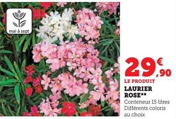 Laurier Rose offre à 29,9€ sur Super U