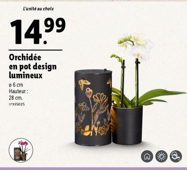 Orchidée En Pot Design Lumineux offre à 14,99€ sur Lidl