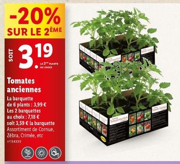 Tomates Anciennes offre à 3,99€ sur Lidl