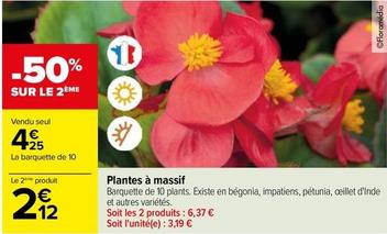 Plantes À Massif offre à 4,25€ sur Carrefour