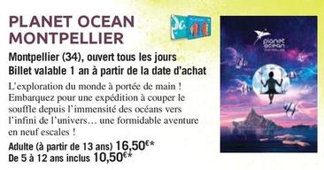Planet Ocean Montpellier offre à 16,5€ sur Carrefour