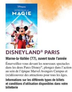 Disneyland Paris Marne-la-vallée (77), Ouvert Toute L'année offre sur Carrefour Express