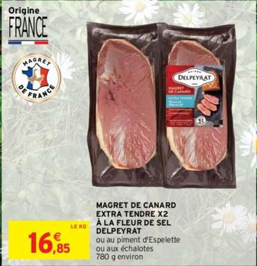 Delpeyrat - Magret De Canard Extra Tendre X2 À La Fleur De Sel offre à 16,85€ sur Intermarché