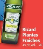 Ricard - Plantes Fraîches offre sur Colruyt