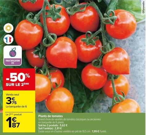 Plants De Tomates offre à 3,75€ sur Carrefour Drive