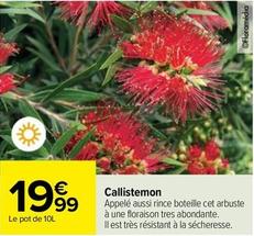 Callistemon offre à 19,99€ sur Carrefour Drive