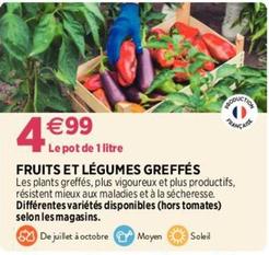 Plantes offre à 4,99€ sur Delbard
