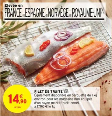 Filet De Truite offre à 14,9€ sur Intermarché