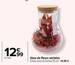 Vase De Fleurs Sechees offre à 12,99€ sur Carrefour