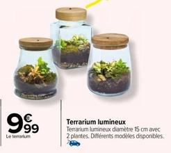 Terrarium Lumineux  offre à 9,99€ sur Carrefour