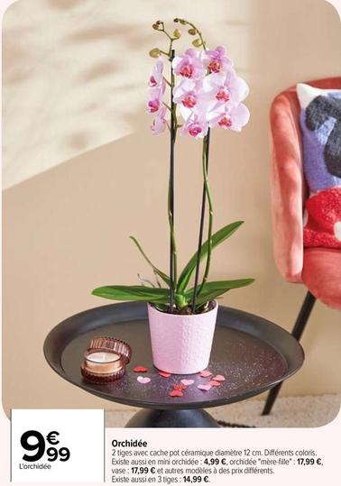 Orchidée offre à 9,99€ sur Carrefour Drive