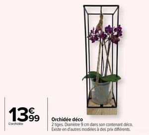 Orchidée Deco  offre à 13,99€ sur Carrefour Drive