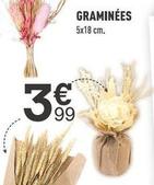 Graminees offre à 3,99€ sur Zoé Confetti