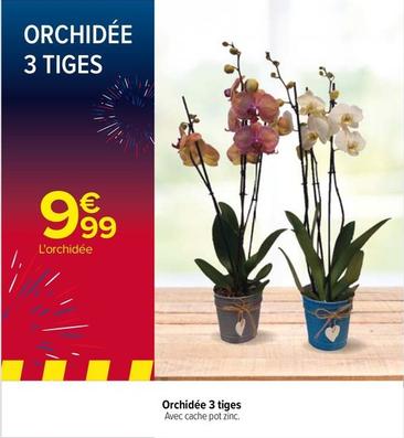 Orchidée 3 Tiges offre à 9,99€ sur Carrefour