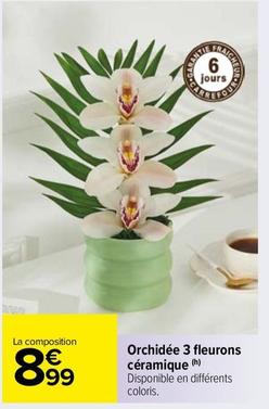 Orchidée 3 Fleurons Céramique offre à 8,99€ sur Carrefour Market