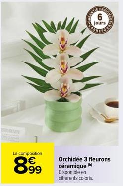 Orchidée 3 Fleurons Céramique offre à 8,99€ sur Carrefour Market