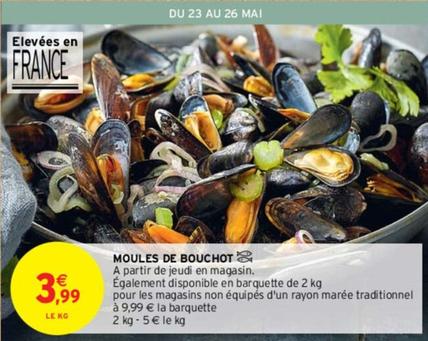 Moules De Bouchot