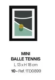 Mini Balle Tennis offre sur Gautier