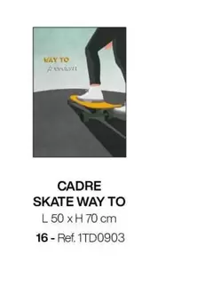 Cadre Skate Way To offre sur Gautier