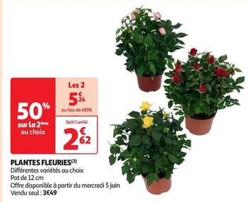 Plantes Fleuries offre à 2,62€ sur Auchan Supermarché