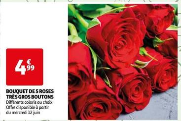 Bouquet De 5 Roses Tres Gros Boutons  offre à 4,99€ sur Auchan Hypermarché