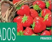 Fraises offre sur E.Leclerc