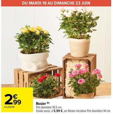 Rosier offre à 2,99€ sur Carrefour Express