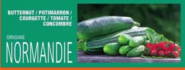 Butternut/Poimarron/Courgette/Tomate/Concombre offre sur E.Leclerc