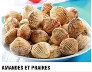 Les Viviers Pirouais - Amandes Et Praires offre sur E.Leclerc