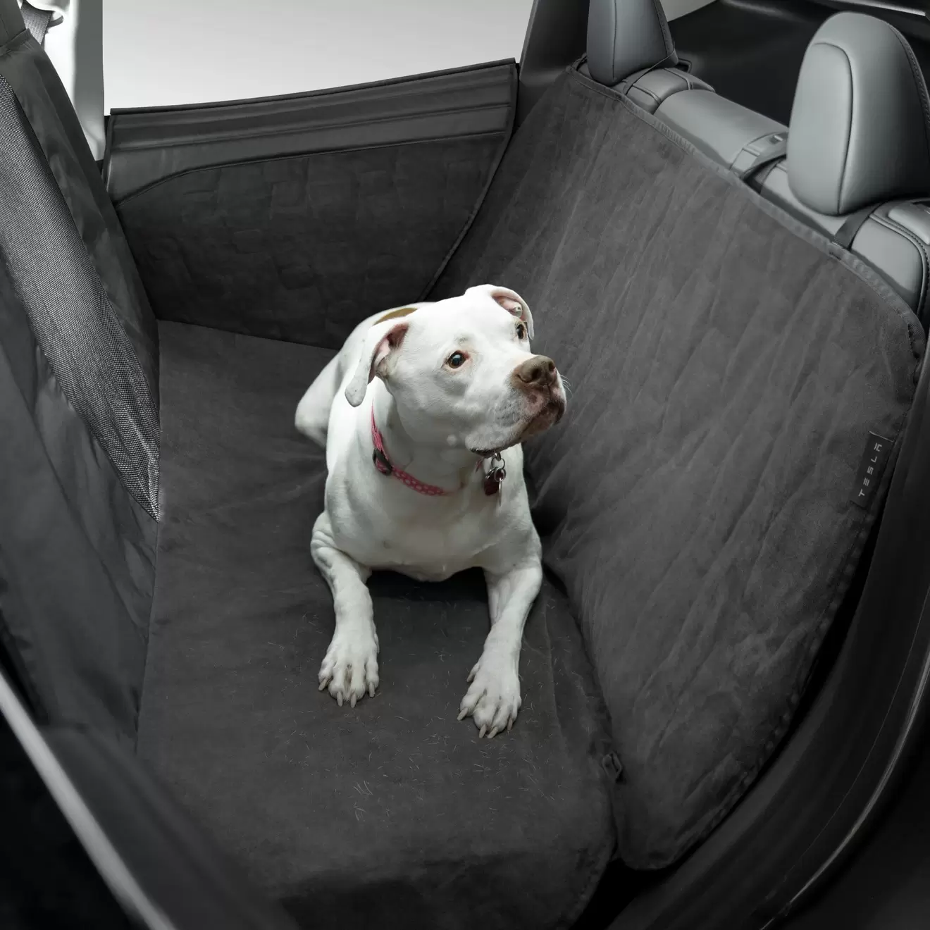 Doublure pour animaux de compagnie - Model S/3/Y offre à 153€ sur Tesla