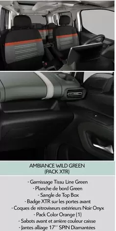 Ambiance Wild Green Ipack Xtri offre sur Citroën