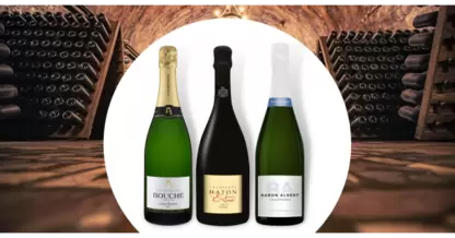 Champagnes de vignerons offre à 59€ sur Cavavin