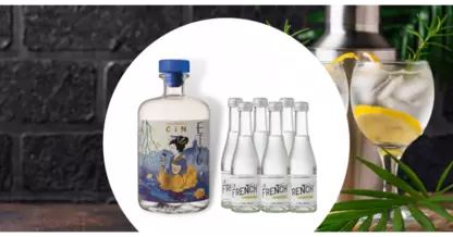 Gin Tonic offre à 49,9€ sur Cavavin