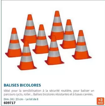 Balises Bicolores offre sur Hyperburo