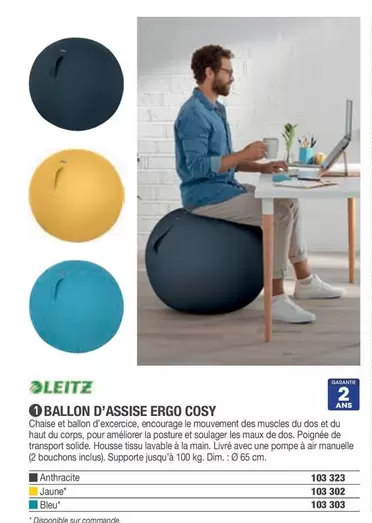 Leitz - Ballon D'Assise Ergo Cosy offre sur Hyperburo