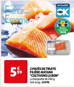 Auchan - 2 Pavés De Truite Filière "Cultivons Le Bon"