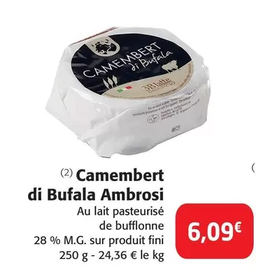 Ambrosi - Camembert Di Bufala