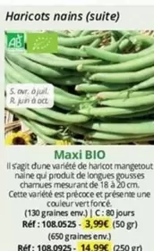 Haricots Nains (Suite) offre à 3,99€ sur Magellan