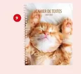 Cahier De Texte Chaton