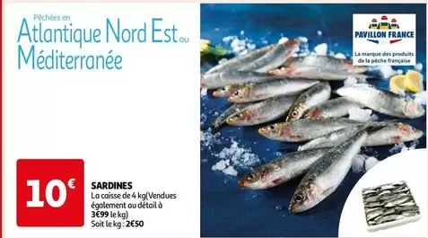 Pavillon France - Sardines