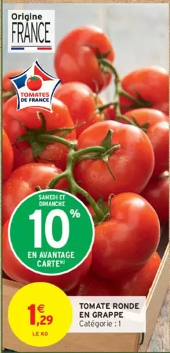 Tomate Ronde En Grappe