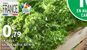 Salade Laitue Batavia